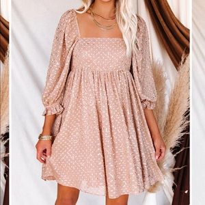 Vici Dolls Metallics Swiss Dot Blush Babydoll dress